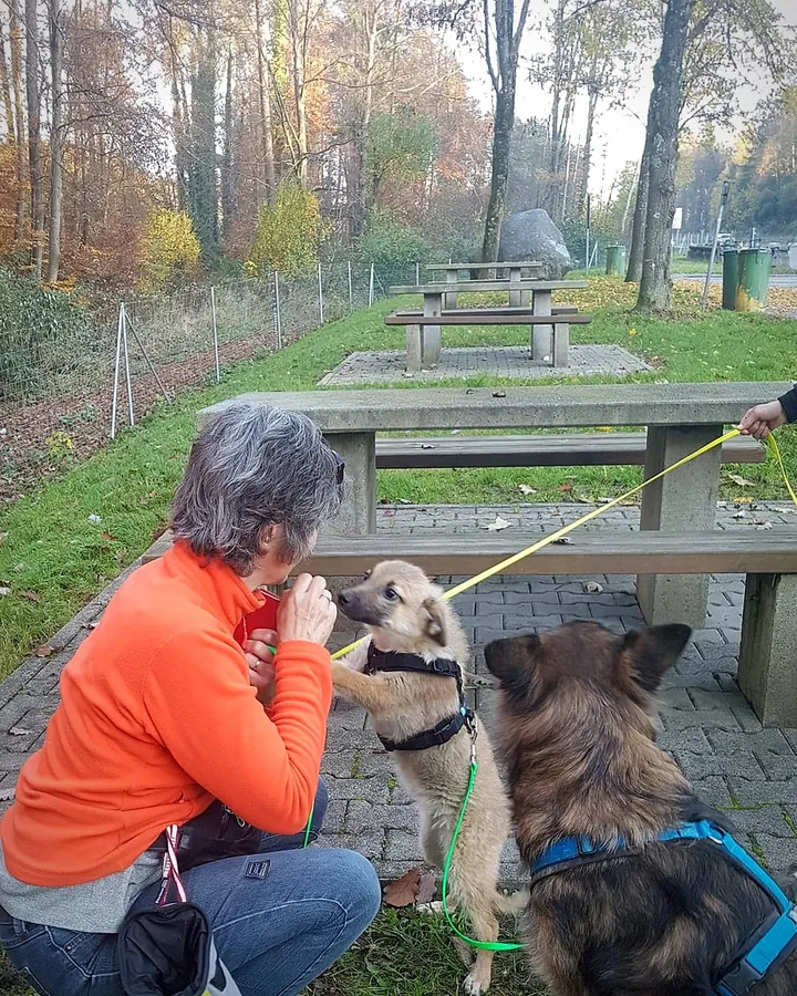 Beatrice beim Training mit einem Hund