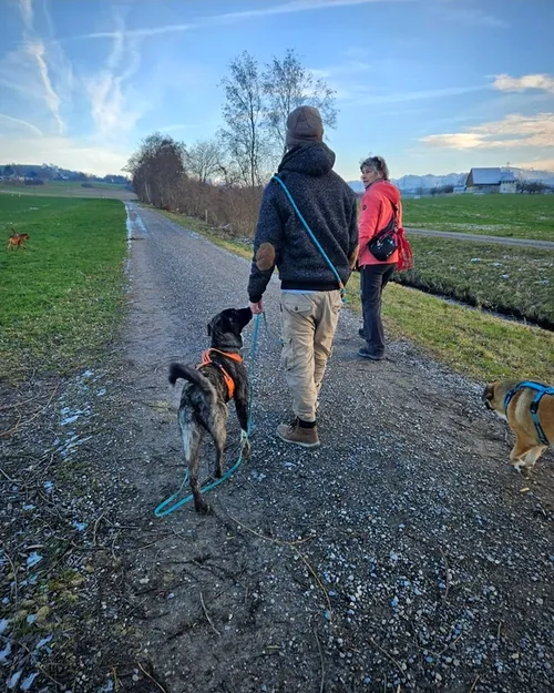 Gemeinsamer Spaziergang mit dem Team von Pfoten-Pfad